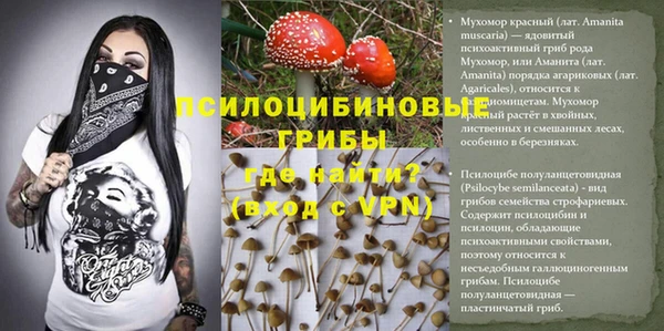 соль ск Алексеевка
